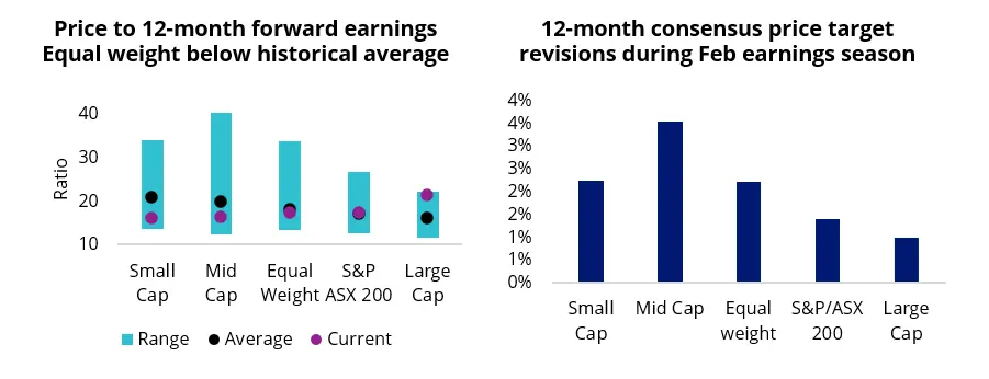 mid caps earnings